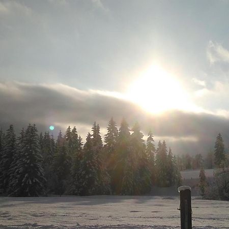 Ferienwohnungen Recherhof Hochfilzen Exterior foto