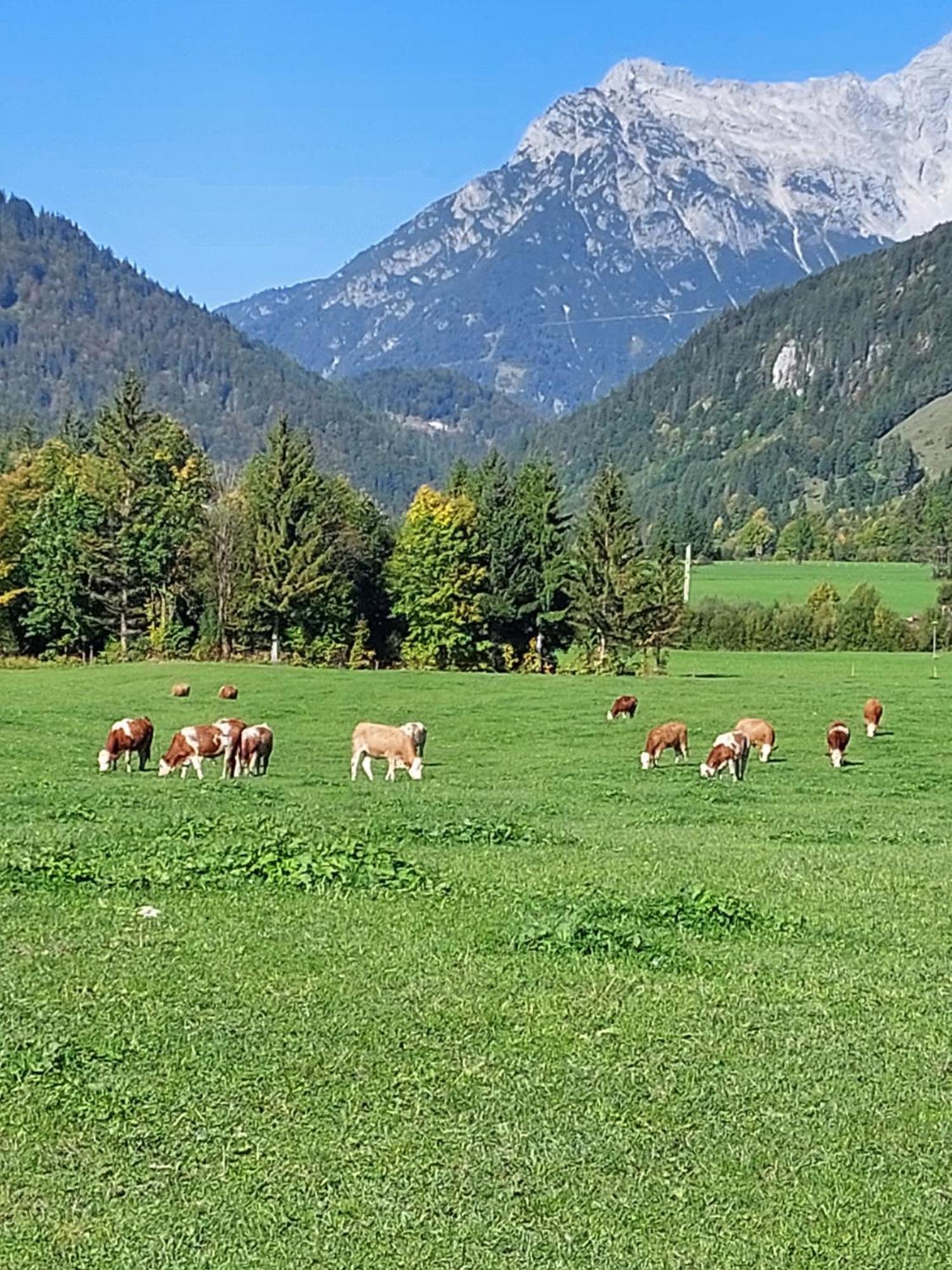 Ferienwohnungen Recherhof Hochfilzen Exterior foto