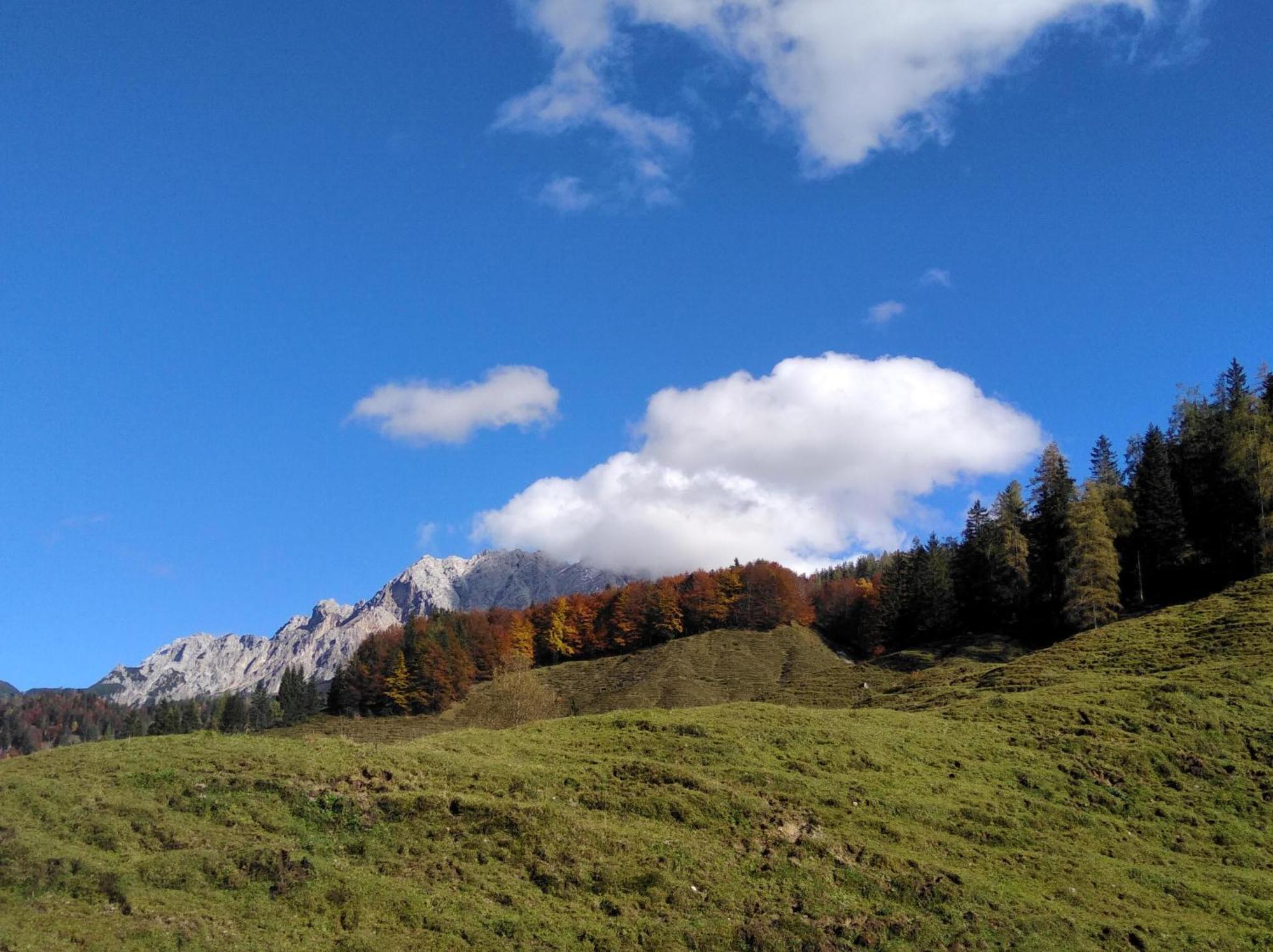 Ferienwohnungen Recherhof Hochfilzen Exterior foto