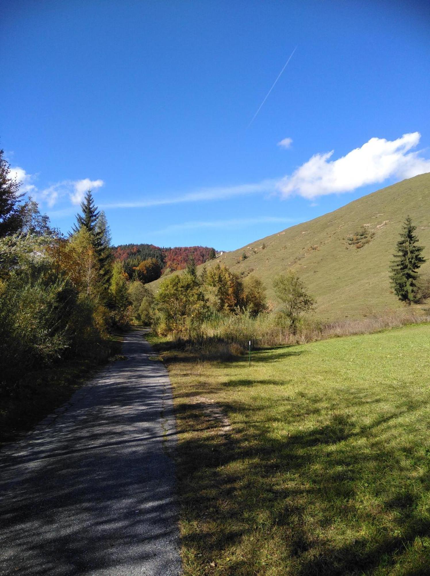 Ferienwohnungen Recherhof Hochfilzen Exterior foto